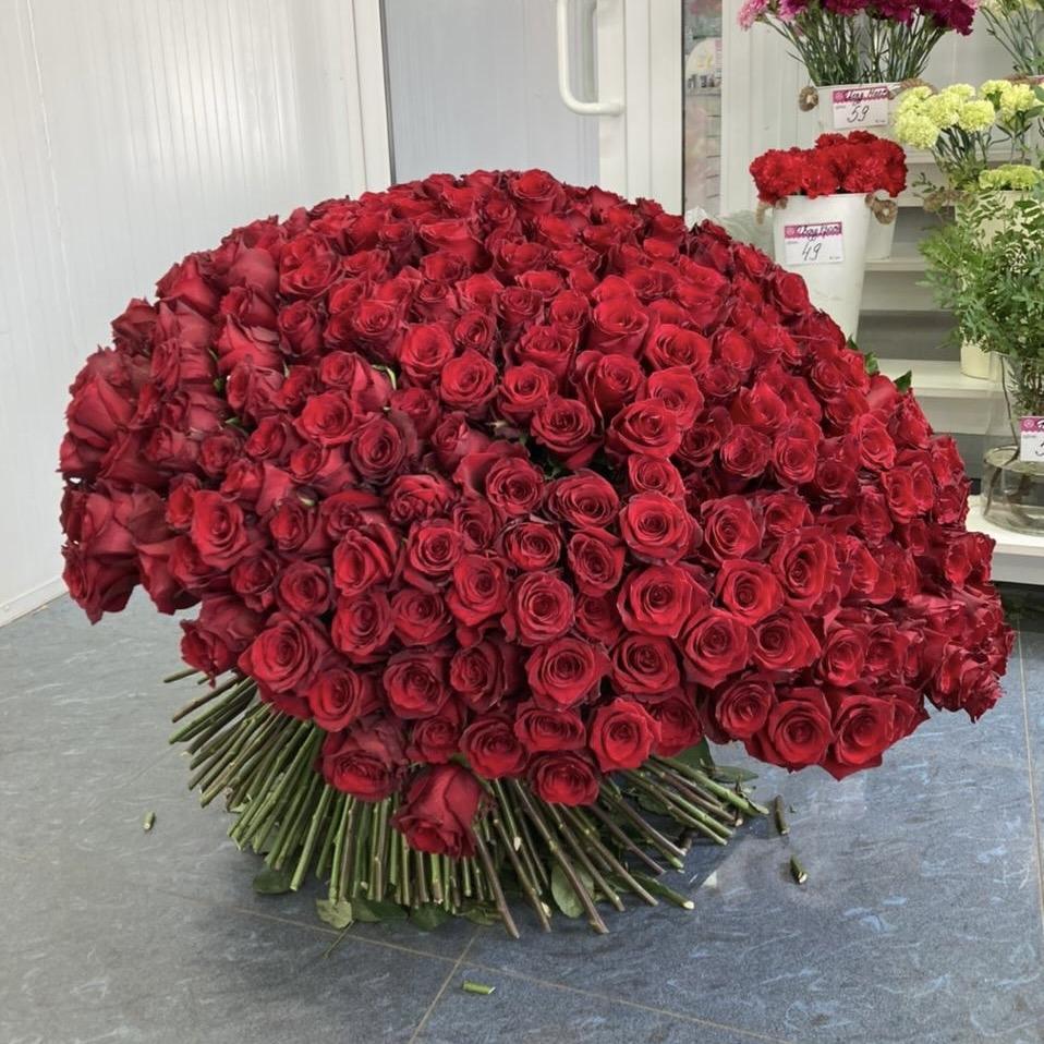Букеты из красных роз 80 см (Эквадор) Артикул: 27876v