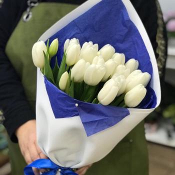 Белые тюльпаны 23 шт. [№ - 46299vlg]