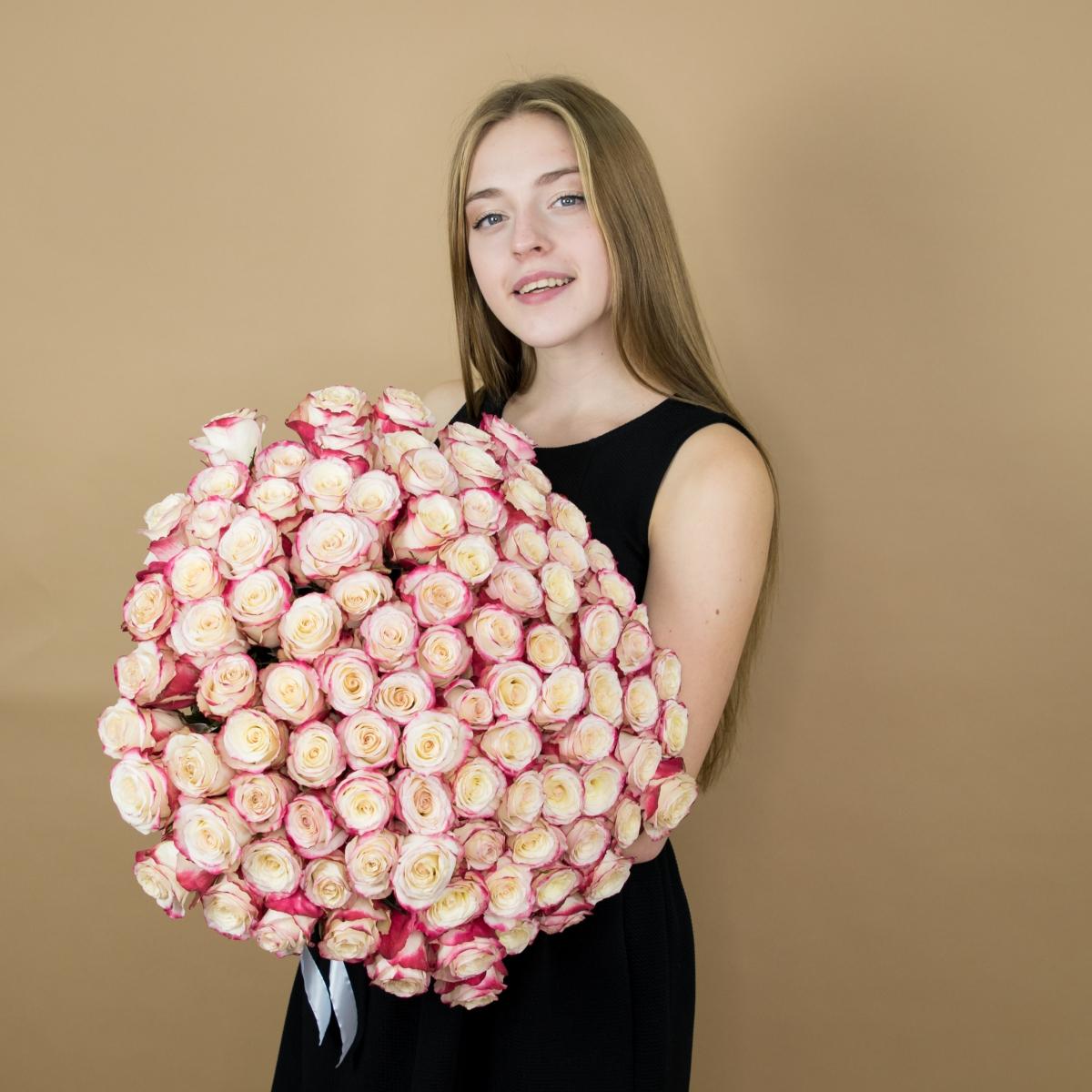 Розы красно-белые (40 см) Эквадор (артикул  69vlg)