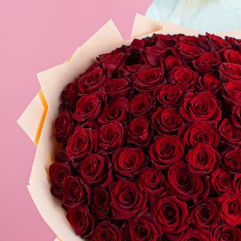 Розы Эквадор 40 см (Красные)