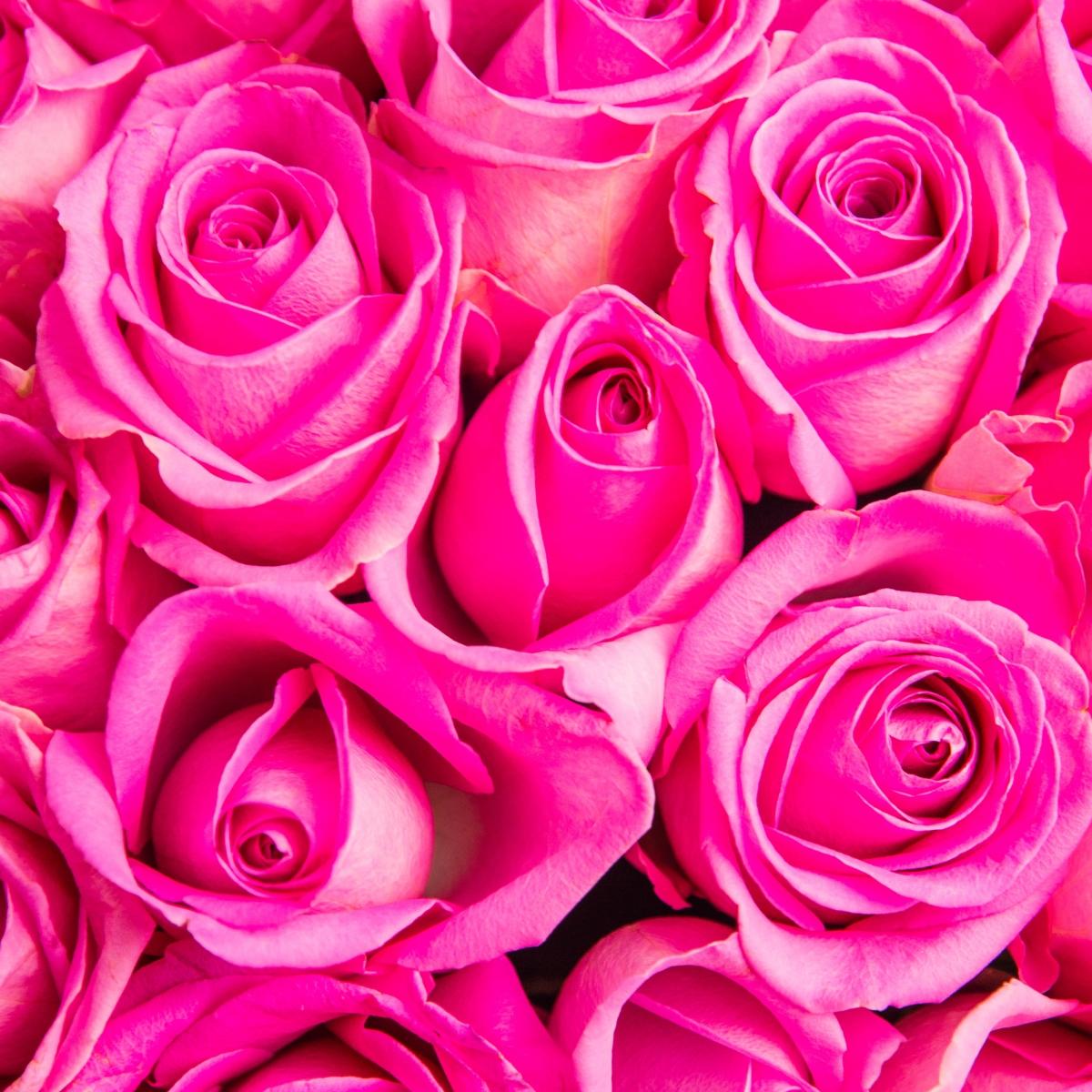 Букет 21 розовой розы